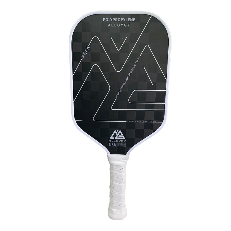 18K Carbon Fiber Pickleball dan Kayuh